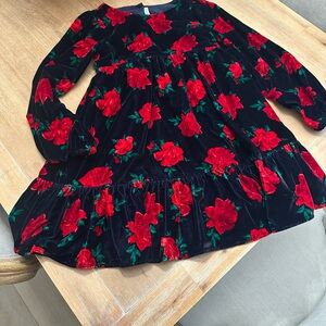 Janie and Jack Red Floral Velvet Dress